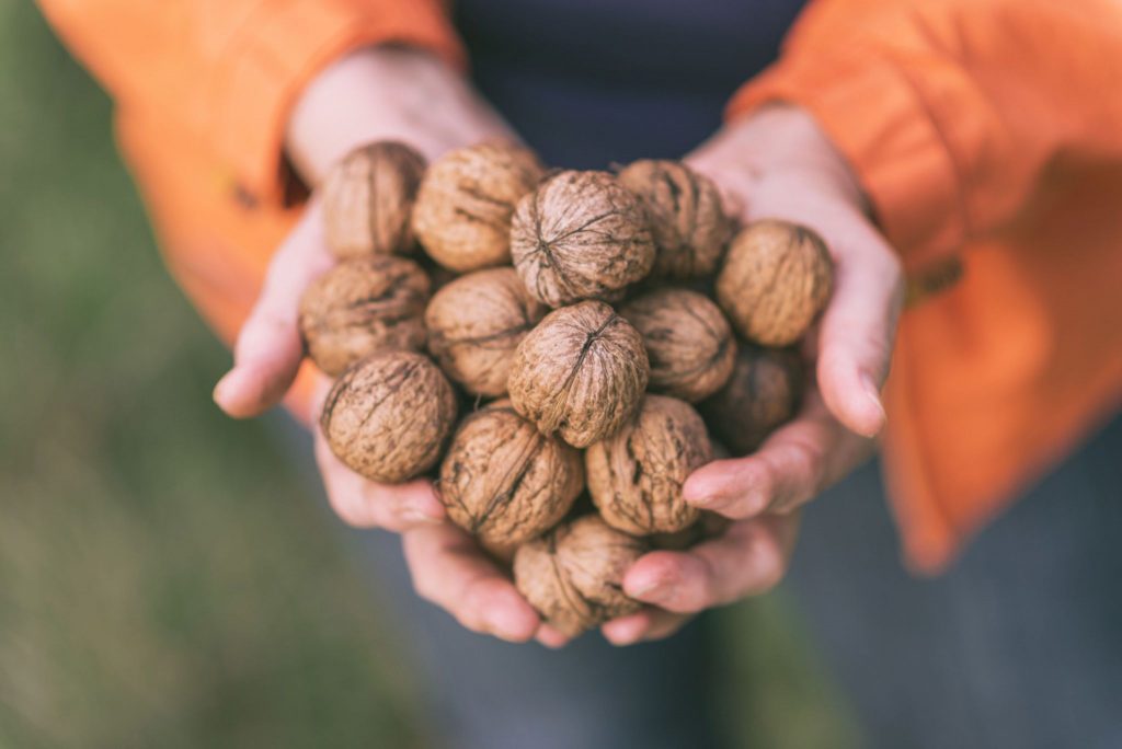 Is Walnut A Good Source Of Omega 3