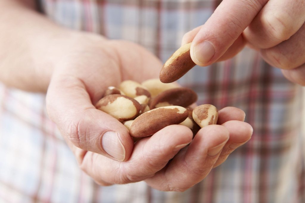 selenium in brazil nuts